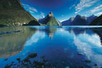 Nature cruise in the Fiords - Price ADULT