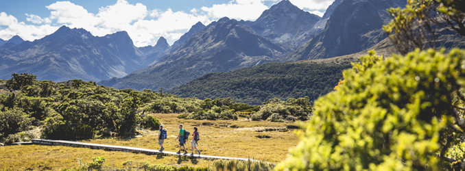 8710-Routeburn-Track-Fiordland-Miles-Holden-banner 8710-Routeburn-Track-Fiordland-Miles-Holden-banner