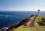 90 Mile Beach - Cape Reinga  - ADULT