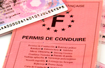 Traduction Permis de conduire