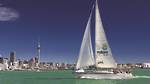 Auckland Harbour Sailing Cruise - Tarif adulte (16 ans +)