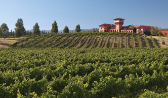 marlboroughwinery marlboroughwinery